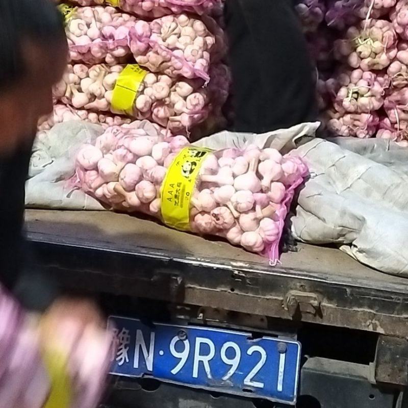 周口扒皮蒜，毛蒜，一手货源。各种包装。代发全国。