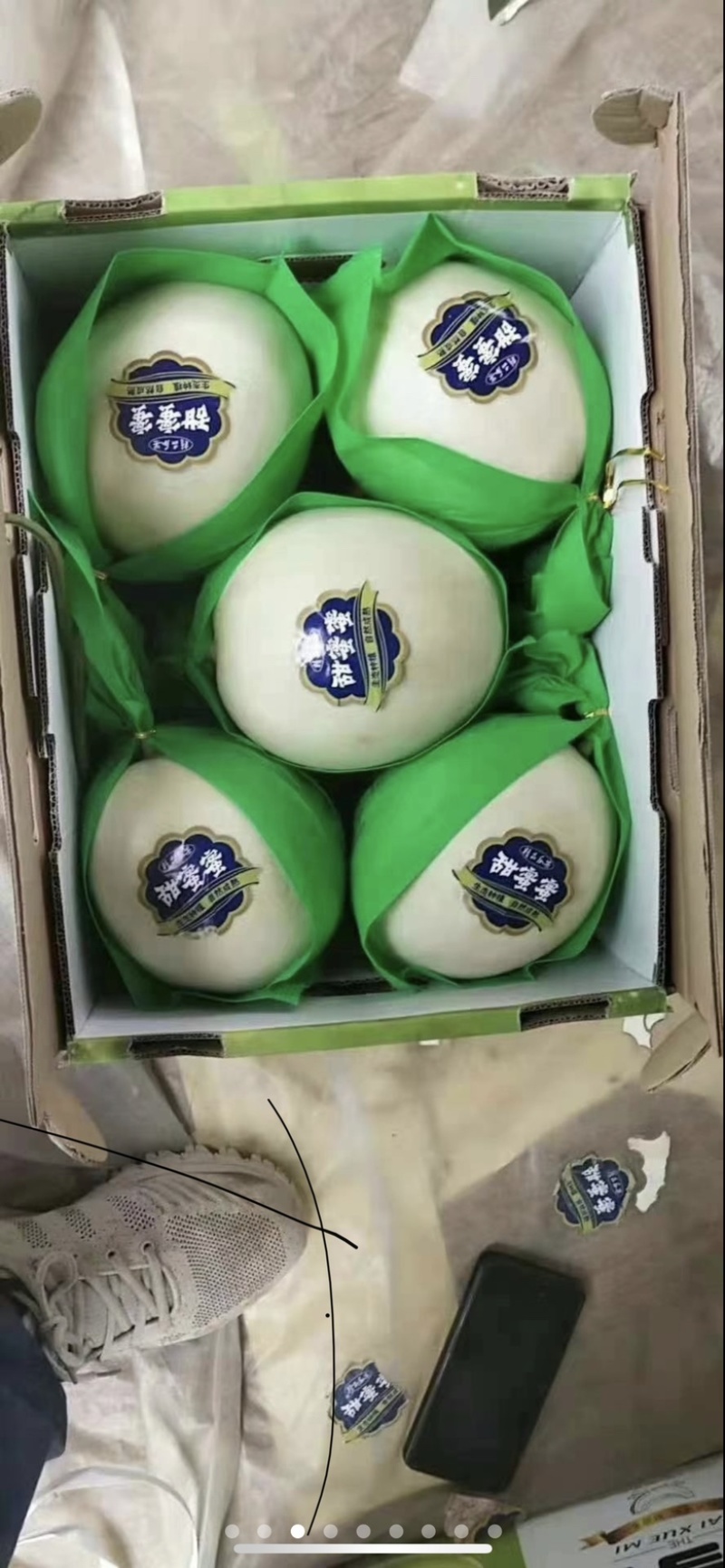（玉姑甜瓜）产地直发，一手货源，清香沙甜，冰淇淋口感