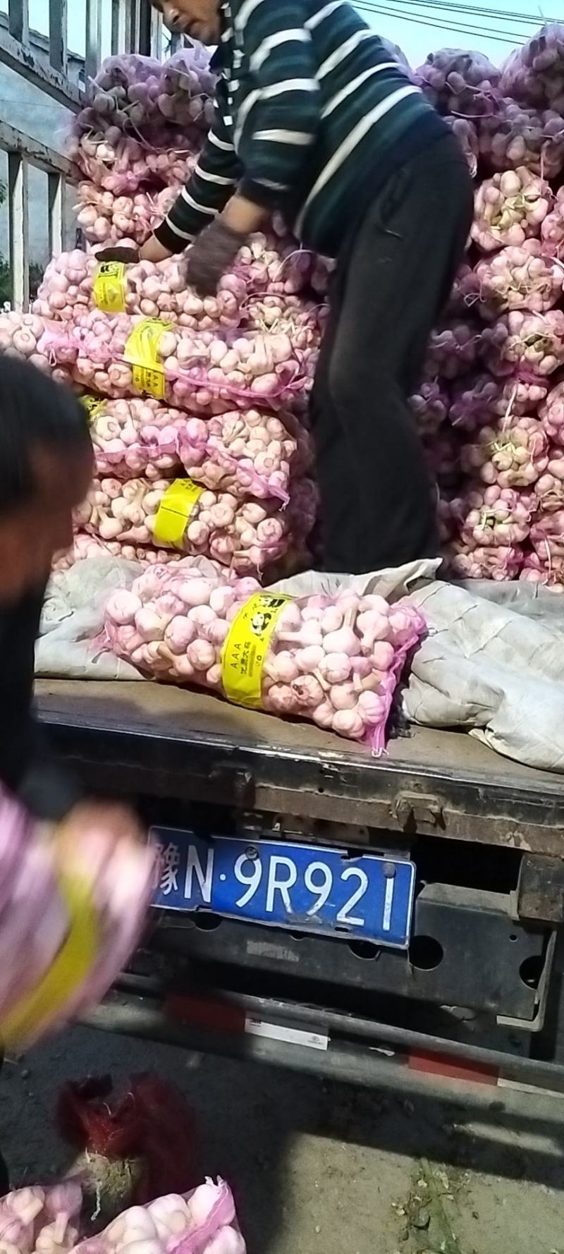 周口扒皮蒜，毛蒜，一手货源。各种包装。代发全国。