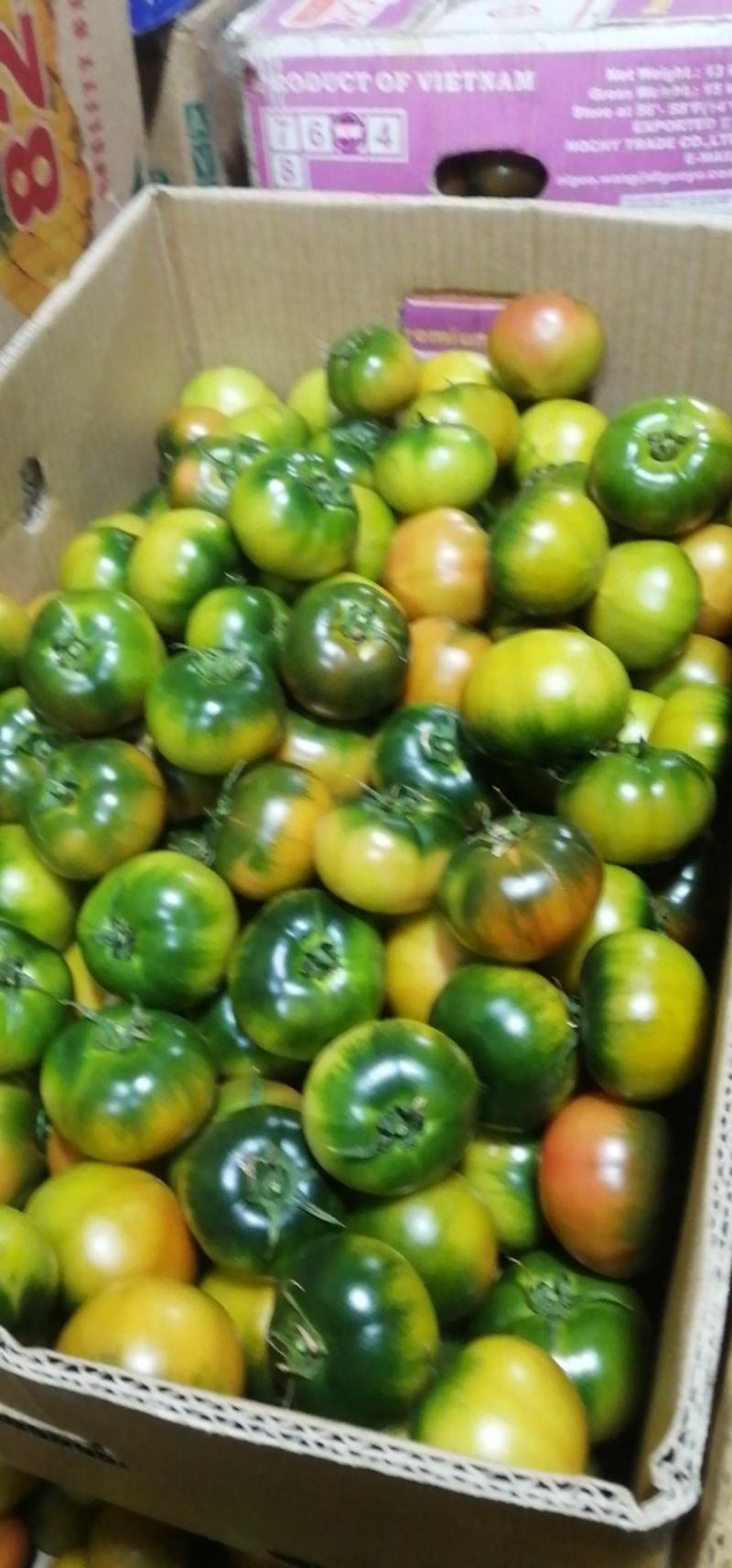 草莓柿子