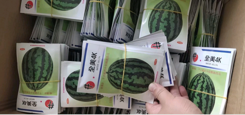 西瓜种子全美4K西瓜种子~皮薄耐裂性强单瓜5公斤口感好