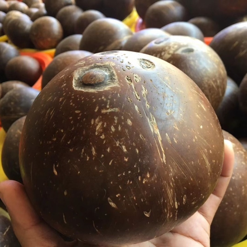 海南老椰皇牛奶味椰子预开口椰子天然饮料