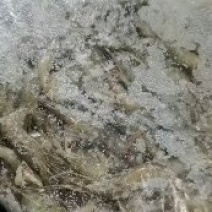 1公斤装速冻河虾