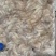 1公斤装速冻河虾