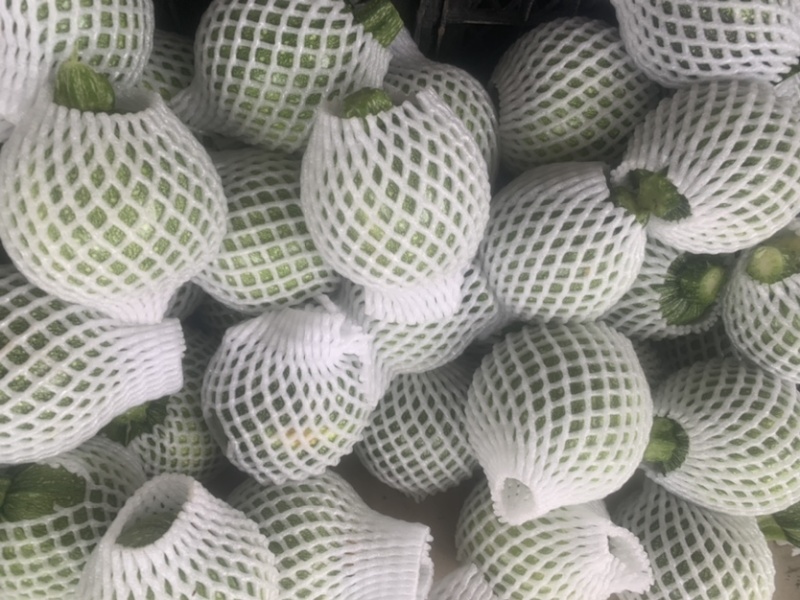 花皮南瓜5~8两扁圆形。质量好。基本都是好货。