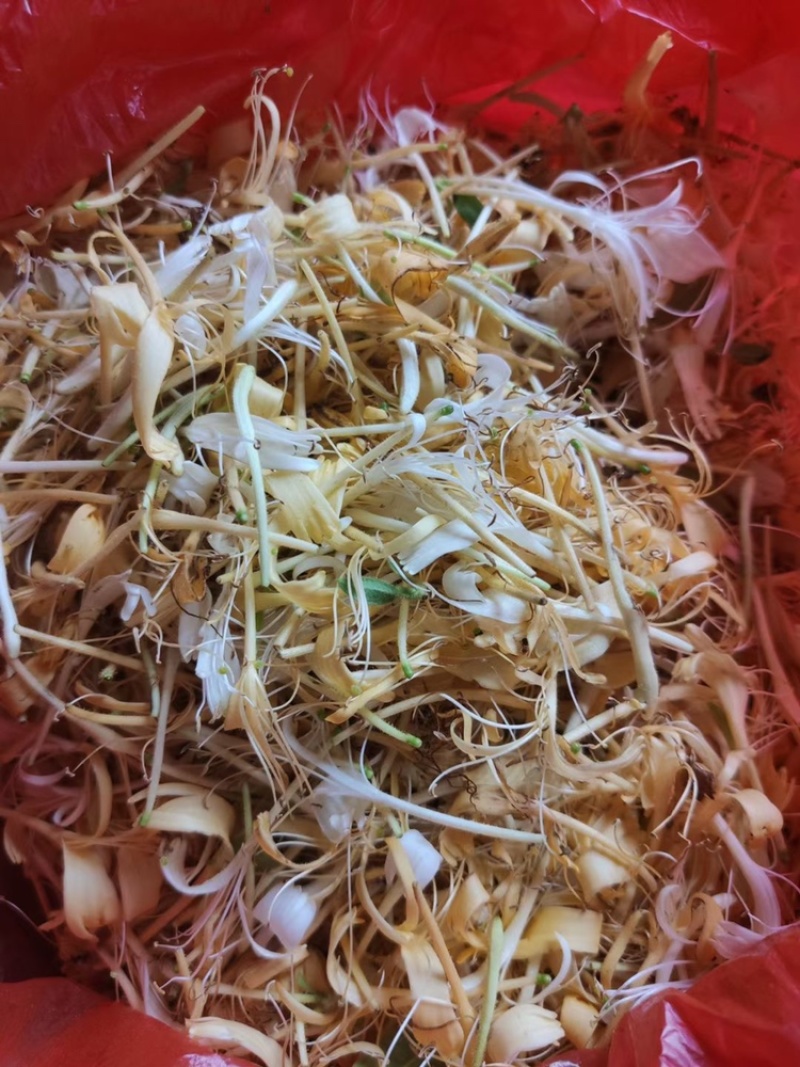 金银花