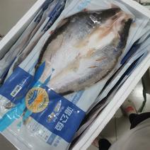 腌制湄公鱼14-18条可选开背巴沙鱼新鲜冷冻烤鱼活鱼现杀