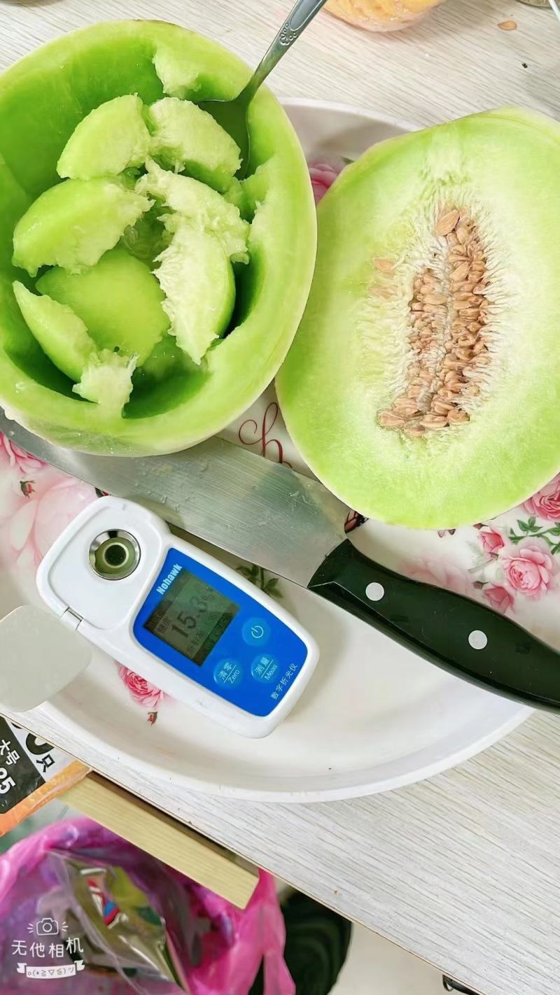 正宗南汇玉菇，每天可供货1万斤，瓜型好，熟度高16个糖