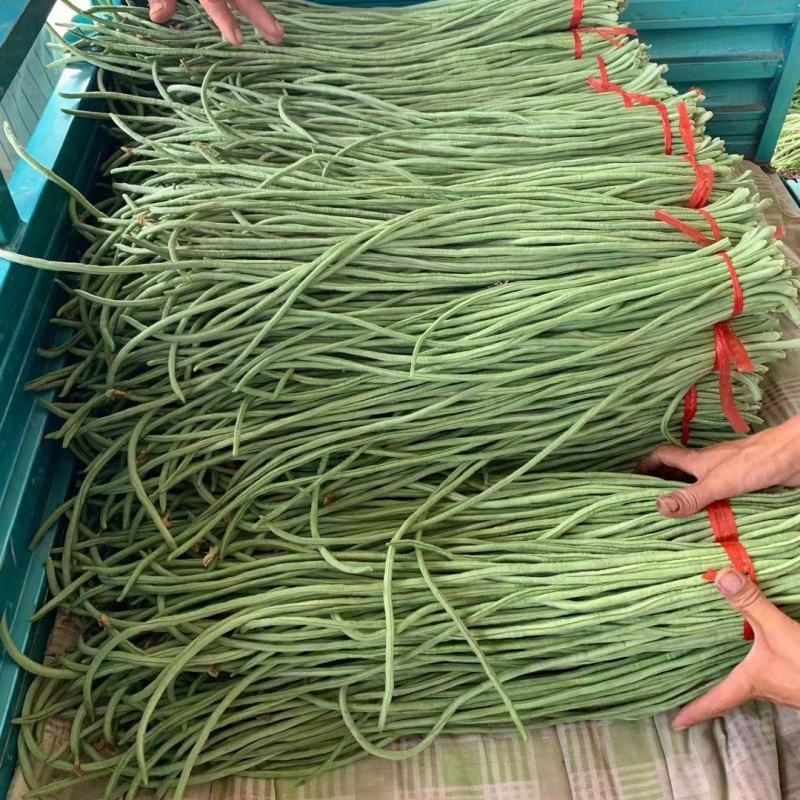 长豆角豆角精品豆角产地一手货源咱有专业的包装人员