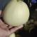 【热销】精品金典产地直销一手货源代发全国