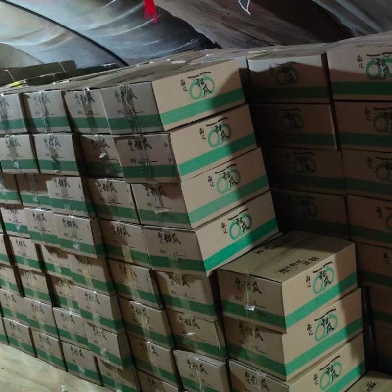 精品南汇玉茹甜瓜，每日能供货1万斤，量大从优