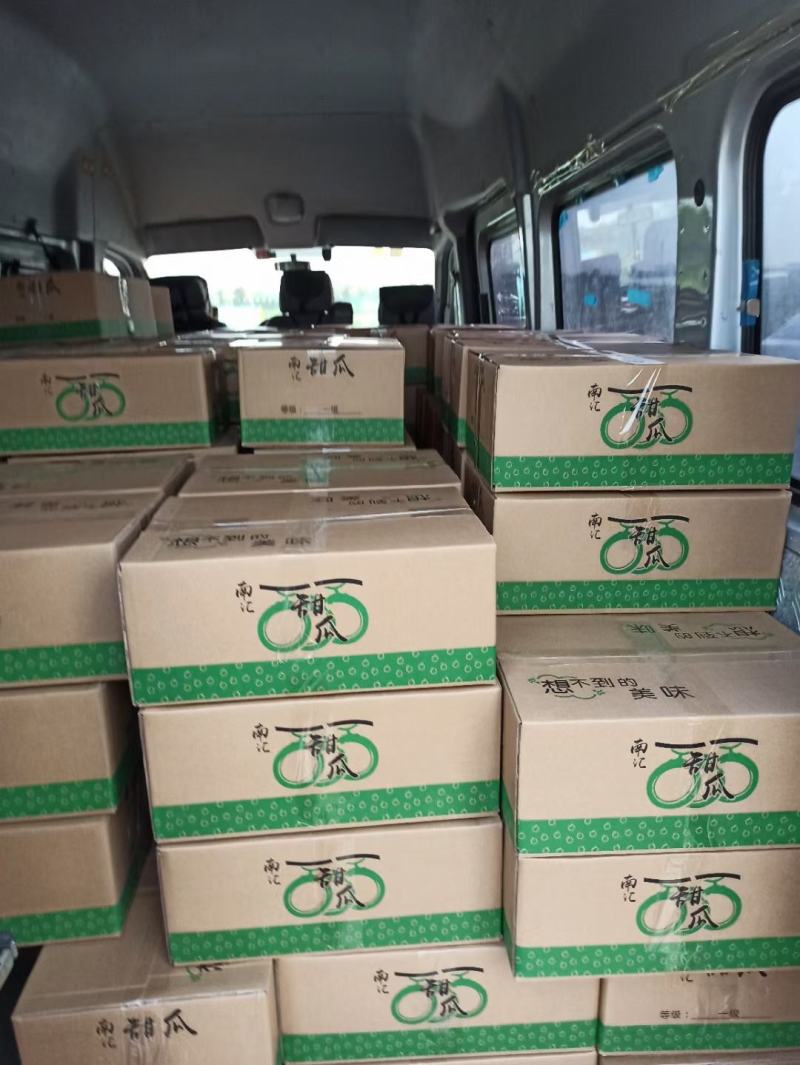 精品南汇玉茹甜瓜，每日能供货1万斤，量大从优