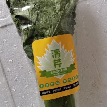 水果芹菜