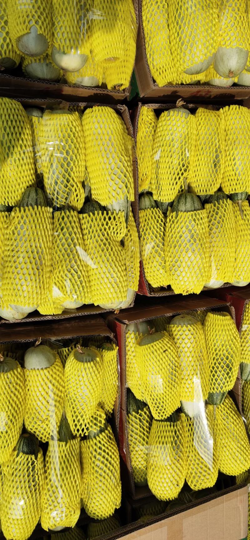 【精品热销】博洋61产地直销一手货源货源充足