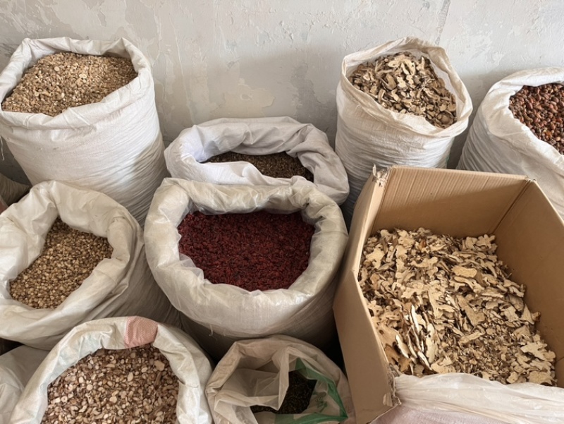 蒲公英药用蒲公英新货颜色好质量保证正品中药材
