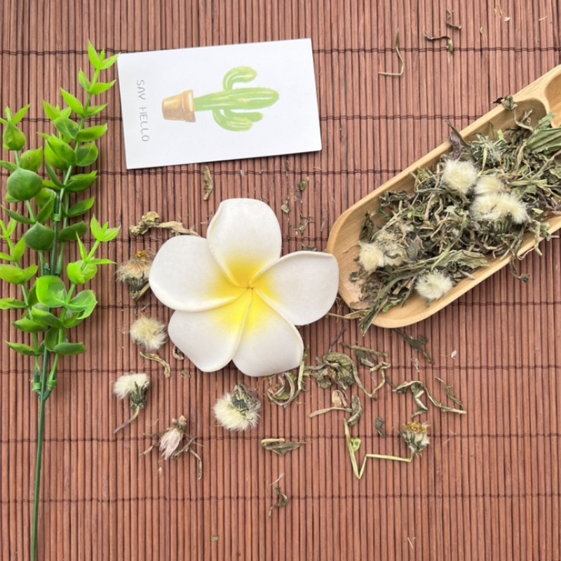 蒲公英药用蒲公英新货颜色好质量保证正品中药材