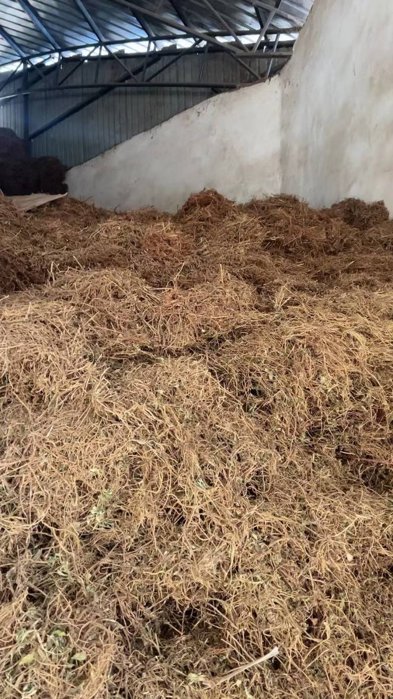 龙胆草统货云南滇龙胆坚龙胆草苦龙胆草