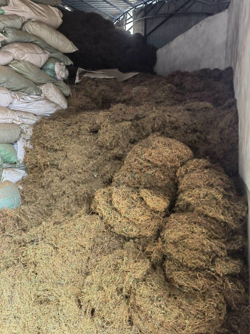 龙胆草统货云南滇龙胆坚龙胆草苦龙胆草