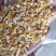 广东玉米碎，碎玉米，下脚料，饲料原料，玉米