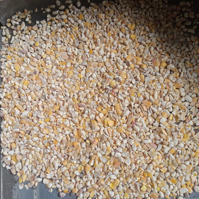 广东玉米碎，碎玉米，下脚料，饲料原料，玉米