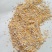 广东玉米碎，碎玉米，下脚料，饲料原料，玉米