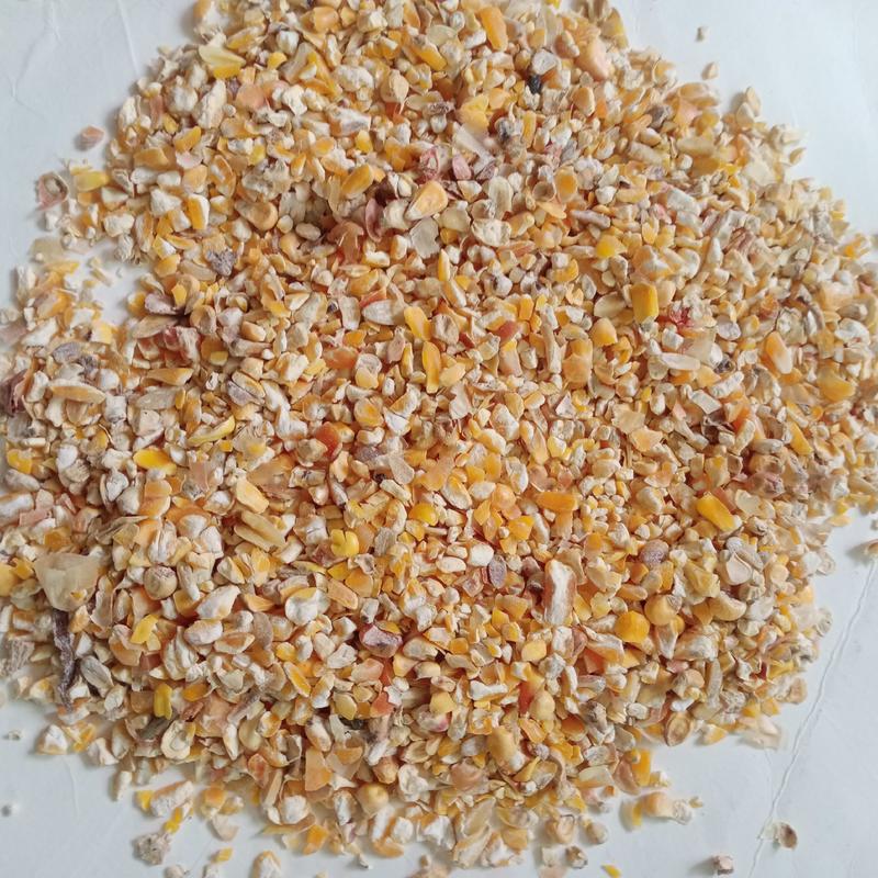 广东玉米碎，碎玉米，下脚料，饲料原料，玉米
