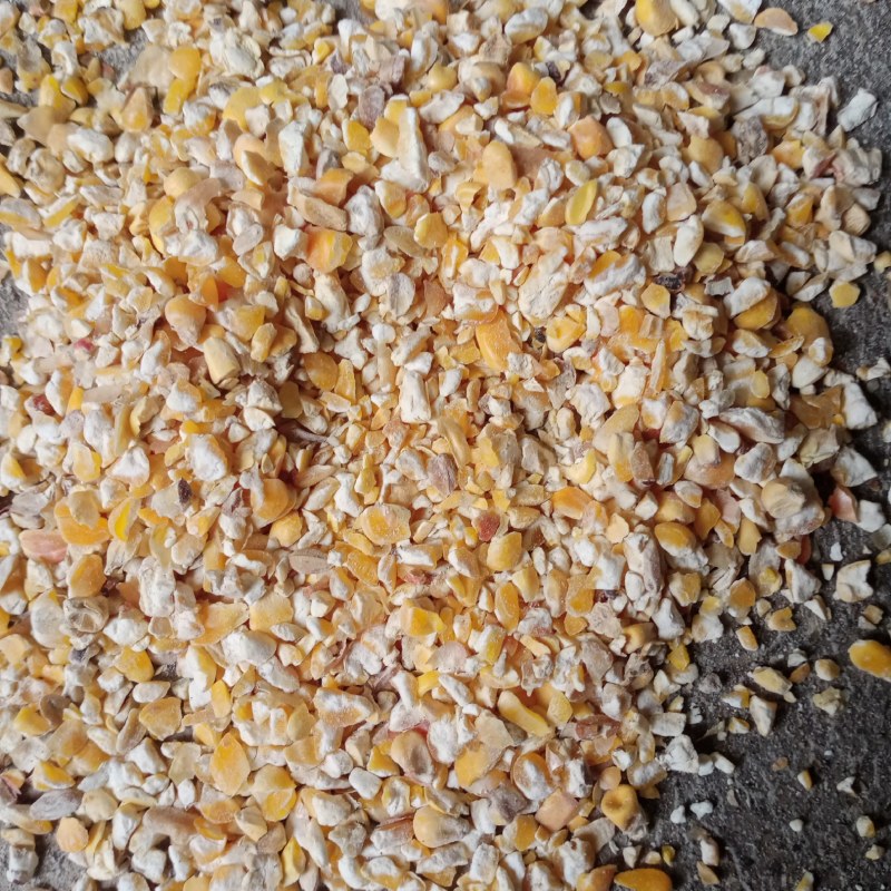 广东玉米碎，碎玉米，下脚料，饲料原料，玉米