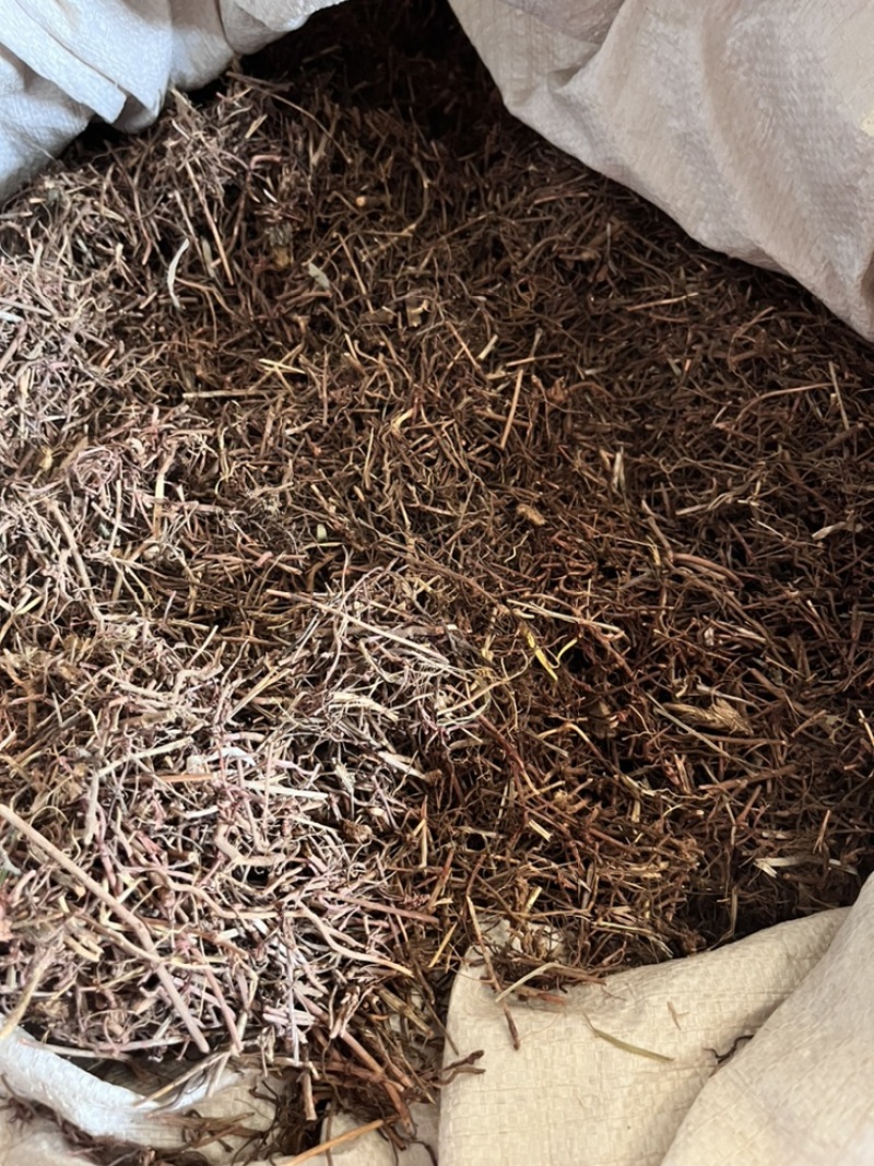 茜草自然晾晒全干颜色漂亮产地直发批发各种中药材
