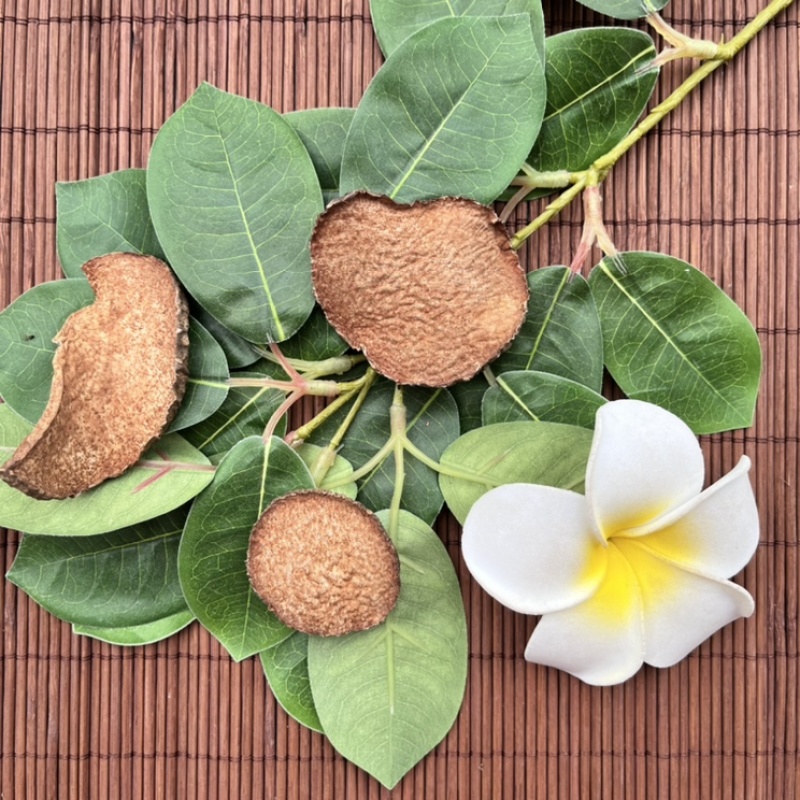黄药子好货纯干货批发质量保证