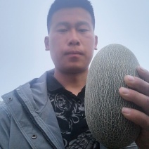 网纹瓜，玫珑，小蜜25,鲁厚甜，库拉，品类全，质量好