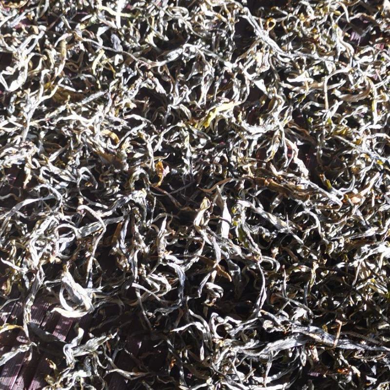 云南古树茶全乔木散装称重可寄样品价格实惠手工茶