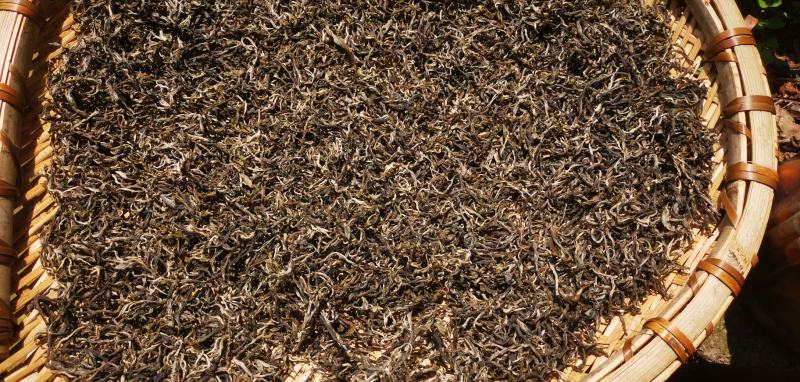 云南古树茶全乔木散装称重可寄样品价格实惠手工茶