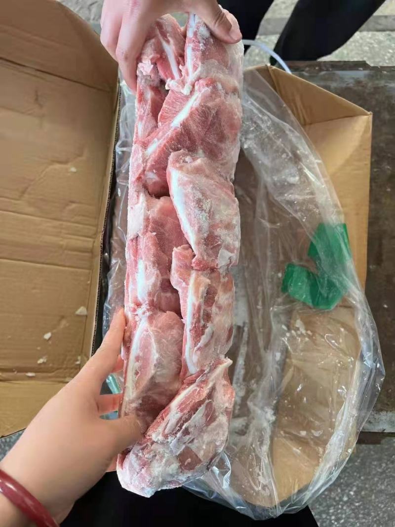 肥猪扇骨