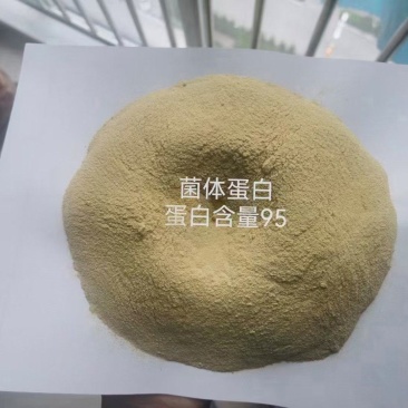 菌体蛋白（蛋白95）颜色微黄，灰分7左右，适合反刍，