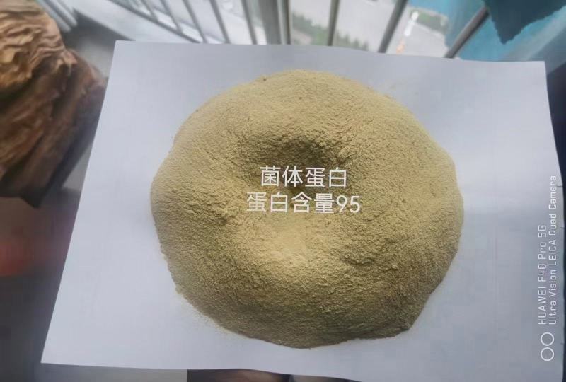 菌体蛋白（蛋白95）颜色微黄，灰分7左右，适合反刍，