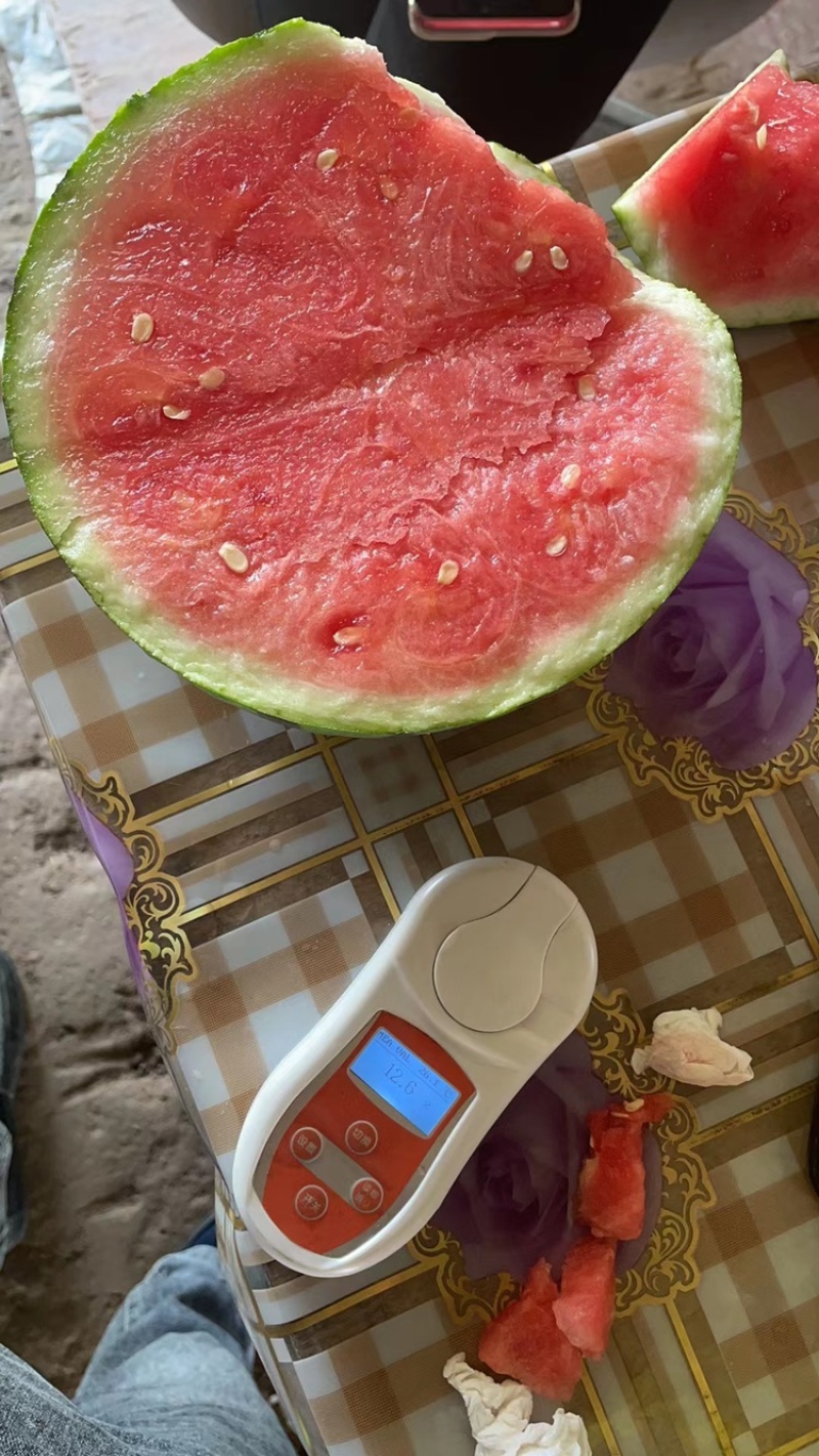 【精品84美都】产地直发果型正口感好诚信经营价优