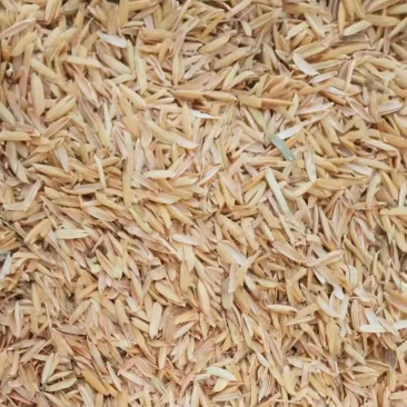 打包稻壳、压缩稻壳、除尘过筛稻壳，养殖种植饲料厂酿酒