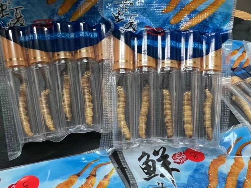 2022年【纯野生】新鲜虫草颜色好支持一件代发