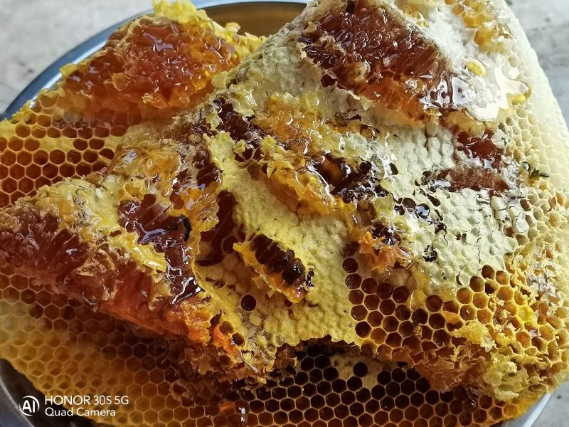 原生蜂蜜，巴适得很！