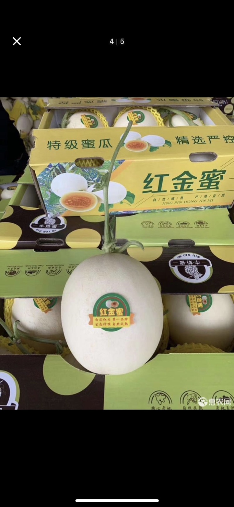 山东聊城莘县燕店甜瓜市场红金蜜大量现货，价格便宜专业代收