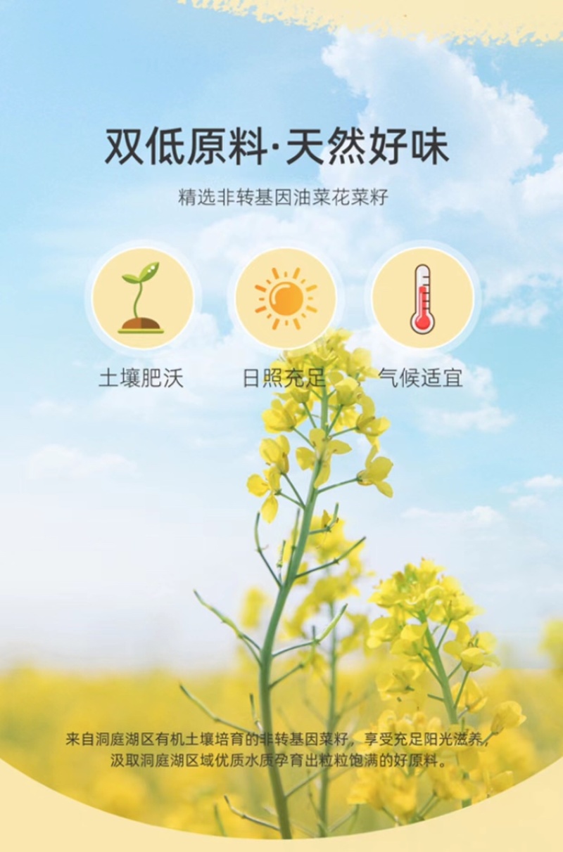 ［***]纯菜籽油农家自榨纯正压榨浓香菜籽油非转基因