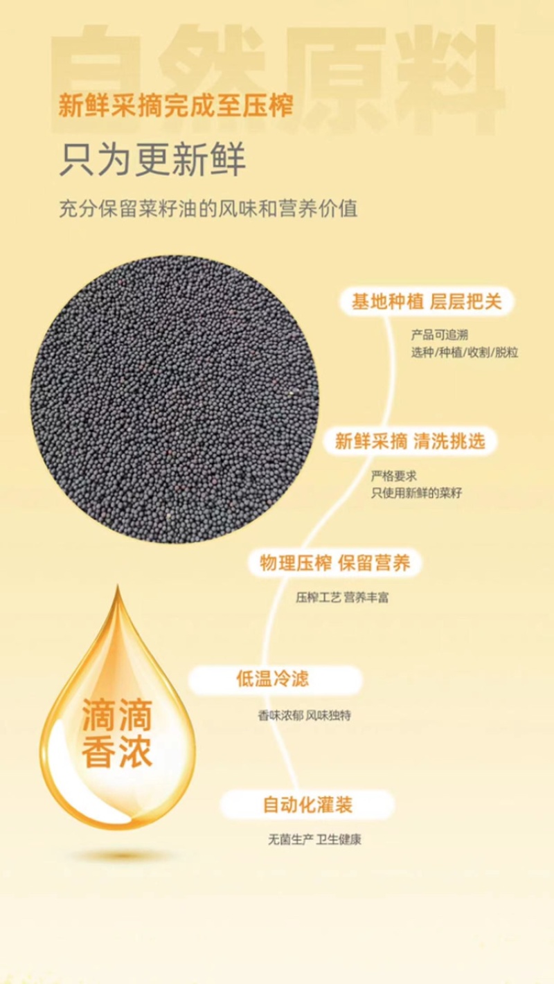 ［***]纯菜籽油农家自榨纯正压榨浓香菜籽油非转基因