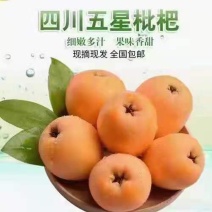 汉源县五星大枇杷，致电询价，信息一律不回