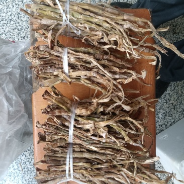 农家干小笋，嫩芽笋干