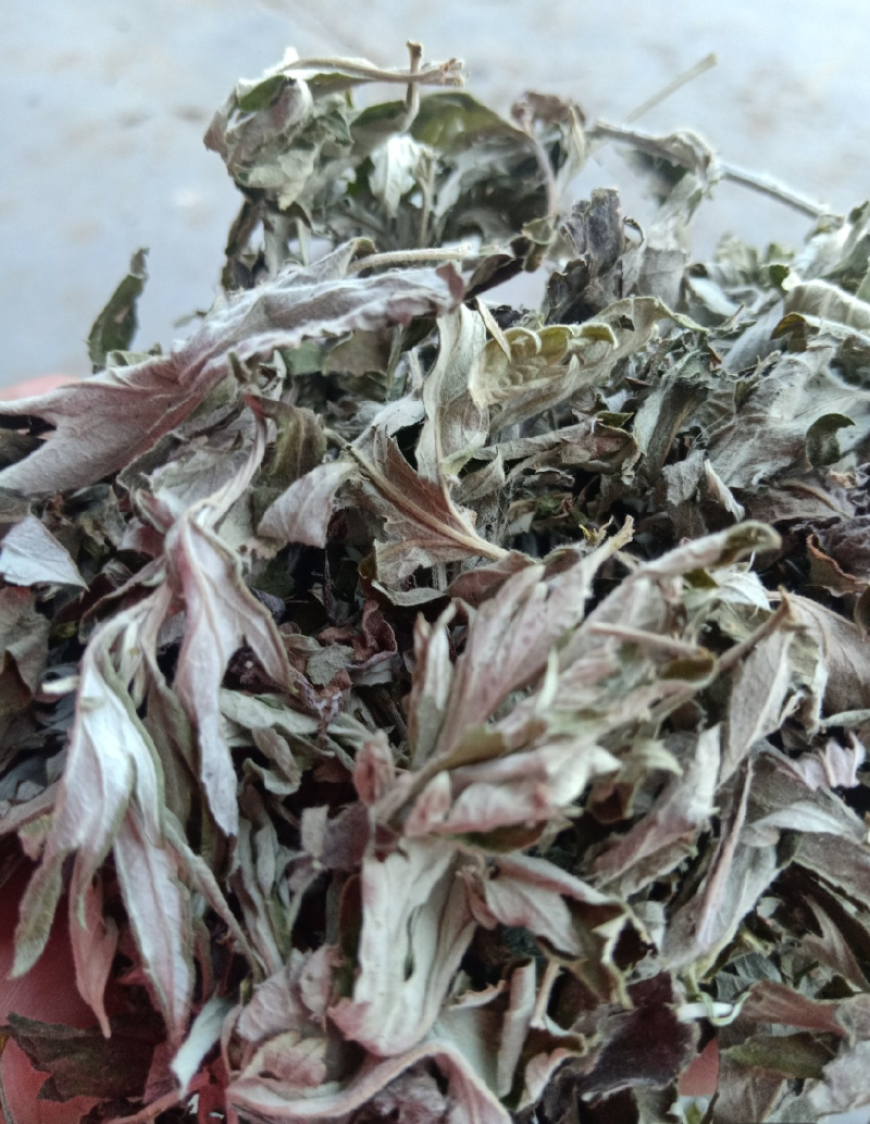 野生艾叶，味浓，端午艾，三年陈艾。一首货源