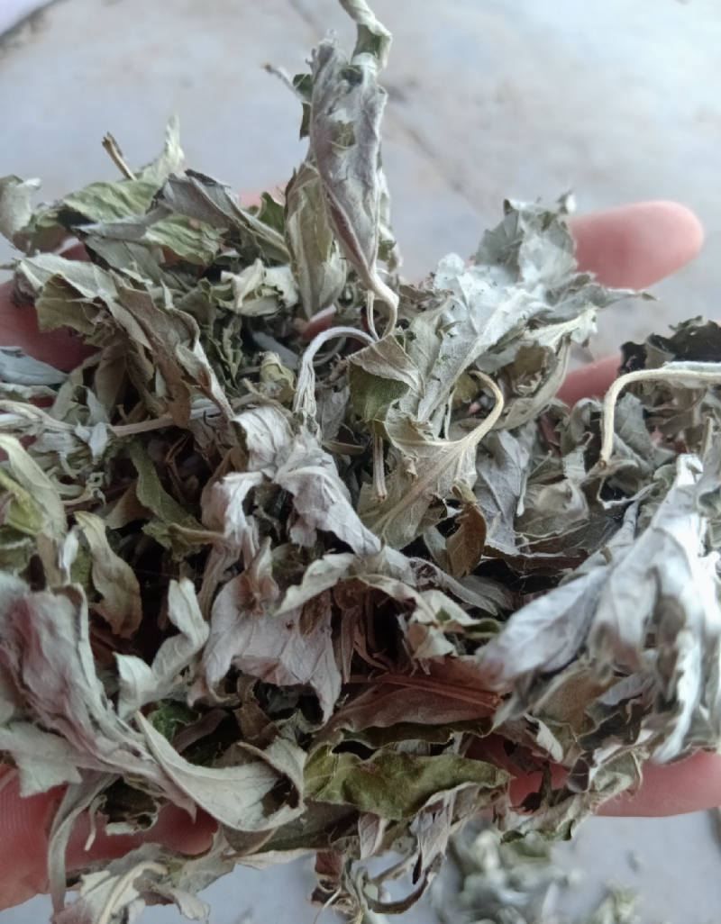 野生艾叶，味浓，端午艾，三年陈艾。一首货源
