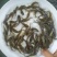 江苏宿迁丰庆特种水产精品黄骨鱼鱼苗，杂交黄骨鱼淡水养殖