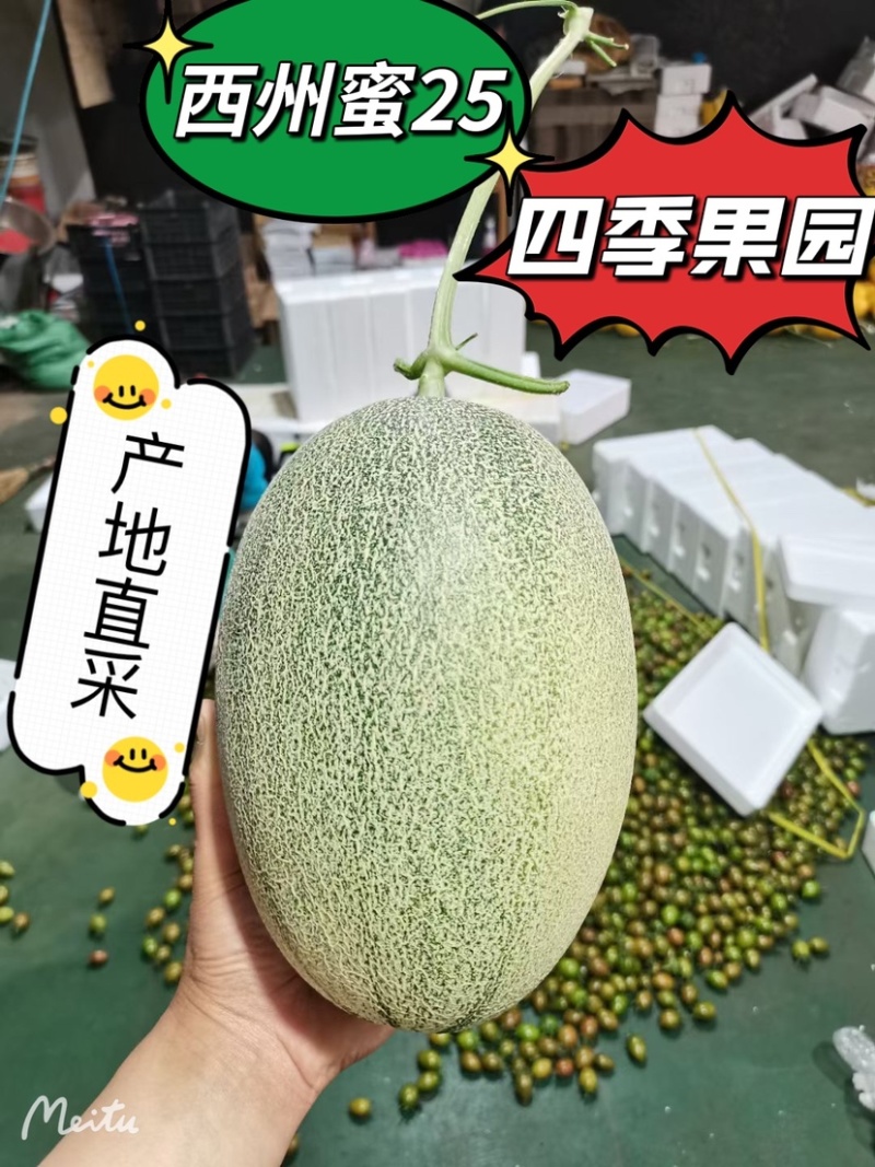 西州蜜25大量上市有需要的老板联系