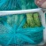 南通精品菠菜茼蒿产地直销保质保量价格公道欢迎新老客户联系