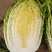 大白菜，甘蓝，西葫芦